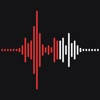录音专家-语音备忘录录音机转换文字助手翻译软件