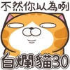 白爛貓30 超愛演 白爛貓30 超愛演
