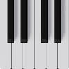 Mini Piano Pro