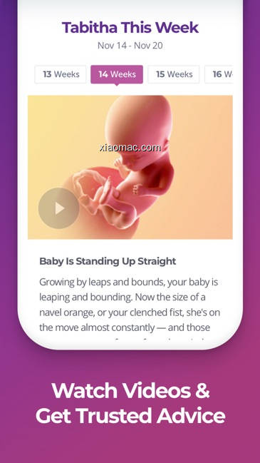 【图】Pregnancy & Baby Tracker – WTE(截图1)