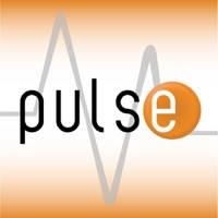 RunIt Pulse RunIt Pulse