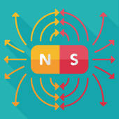 World Magnetic Model