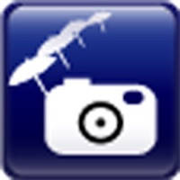 travelPhoto travelPhoto