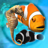 Fish Farm Fish Farm