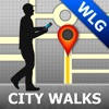 Wellington Map & Walks (F)