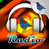 SL Radio SL Radio