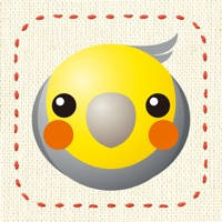 インコ玉 / ParrotBall インコ玉 / ParrotBall