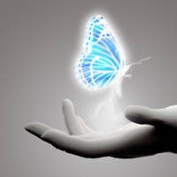 Illusion Hand Free 幻象之手免費版 – IllusionHand , add a splash of color to your photos ! Illusion Hand Free 幻象之手免費版 – IllusionHand , add a splash of color to your photos !