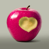 Mec à Croquer – Site de rencontre pour célibataires