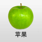 宝宝卡片-大百科 双语发音 宝宝卡片-大百科 双语发音