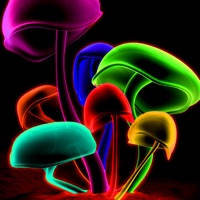 Neon Wallpapers – Neon Arts & Neon Pictures HD Neon Wallpapers – Neon Arts & Neon Pictures HD