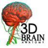 3DBrain