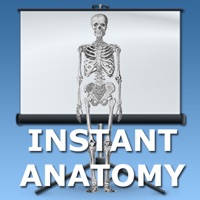 Anatomy Topics in Focus Anatomy Topics in Focus