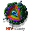 HIV 3D study