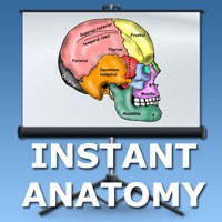 Anatomy Lectures Head and Neck Anatomy Lectures Head and Neck