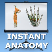 Anatomy Lectures Limbs Anatomy Lectures Limbs