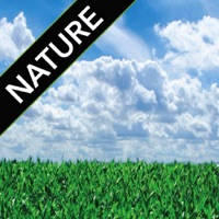 Nature Sounds FREE Nature Sounds FREE