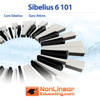 Course For Sibelius 6 Course For Sibelius 6