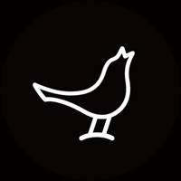 Libratone – 小鸟音响,听觉自由主义 Libratone – 小鸟音响,听觉自由主义
