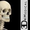 Skeletal System Pro III Skeletal System Pro III
