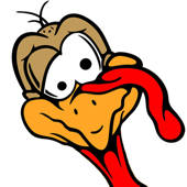 Turkey Plucker Turkey Plucker