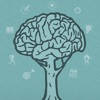 DBT Diary Card & Skills Coach