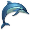 Dolphins 3D