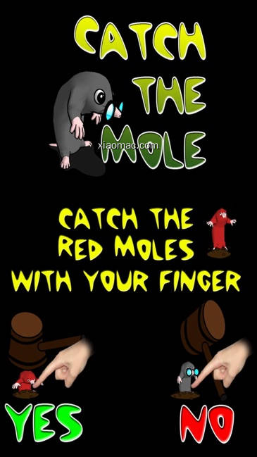 【图】Catch the Moles(截图2)
