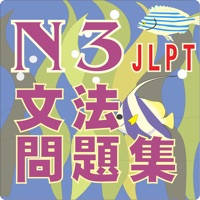 N3-文法問題集