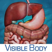 Digestive Anatomy Atlas: Essential Reference for Students and Healthcare Professionals Digestive Anatomy Atlas: Essential Reference for Students and Healthcare Professionals