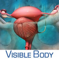 Reproductive and Urinary Anatomy Atlas: Essential Reference for Students and Healthcare Professionals Reproductive and Urinary Anatomy Atlas: Essential Reference for Students and Healthcare Professionals