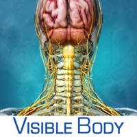 Brain and Nervous Anatomy Atlas: Essential Reference for Students and Healthcare Professionals Brain and Nervous Anatomy Atlas: Essential Reference for Students and Healthcare Professionals