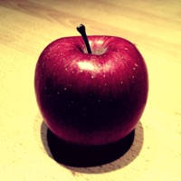 Vintage View Vintage View