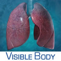 Respiratory Anatomy Atlas: Essential Reference for Students and Healthcare Professionals Respiratory Anatomy Atlas: Essential Reference for Students and Healthcare Professionals