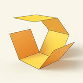 Shapes – 3D 立体学习模型