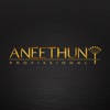 Aneethun