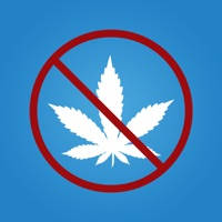Drug Test Info Drug Test Info