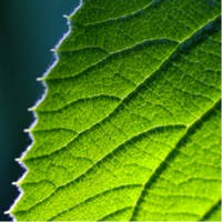 私密通讯录2 私密通讯录2