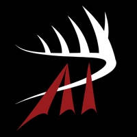 Antler Insanity Antler Insanity