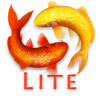 Koi Pond 3D Lite