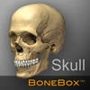 BoneBox™ – Skull Viewer BoneBox™ – Skull Viewer
