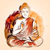 Buddha Box Buddha Box
