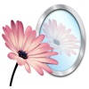 Photo Reflect – Video too!