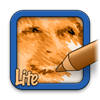 SketchMee Lite