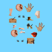 Body Parts – Basic Body Parts – Basic