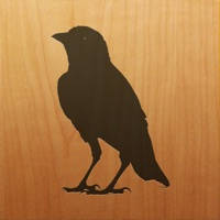 Blackbird! Blackbird!