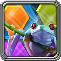 HexLogic – Zoo