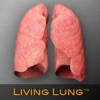 Living Lung™ – Lung Viewer Living Lung™ – Lung Viewer