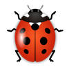 iBug – Live wallpaper