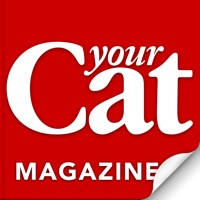 Your Cat Your Cat